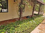Professional Stucco Pressure Washing in Escondido CA: A1A Supreme Cleaning