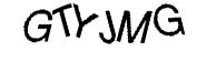 Amazon.com