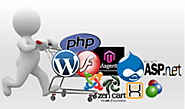 Customized Web Development