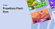 Propritory Flash Firm