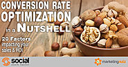 Conversion Rate Optimization – 20 Factors Impacting Your Sales and ROI [Podcast]
