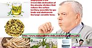 7 Herbal Treatment of Emphysema