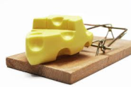 Your Website is a Mousetrap and Your Content is the Cheese