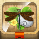 Meet the Insects: Water & Grass Edition - Educational App | AppyMall