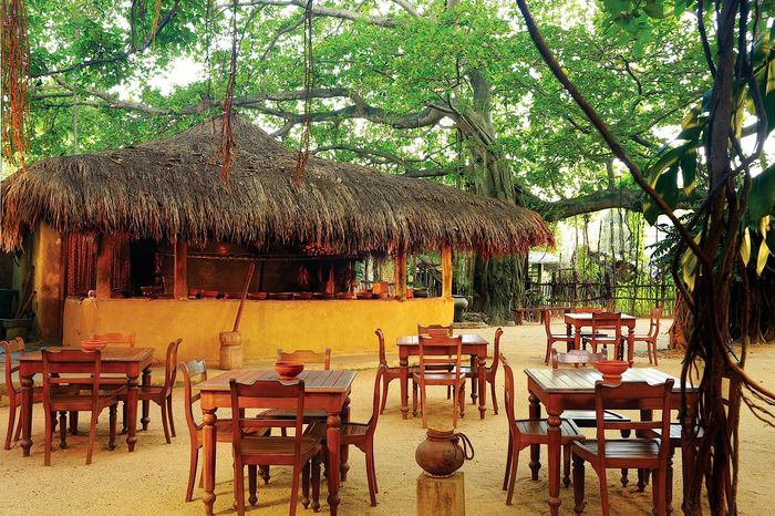 Best Dining Places in Colombo -Top 5 places to rock your tastebuds | A