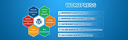 WordPress Development Company | Hire Dedicated Wordpress Developer