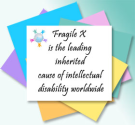 Fragile X Awareness | Spreading Awareness of Fragile X Syndrome and Associated Conditions