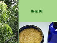 Different things reveal words neem oil in element on their thing packaging