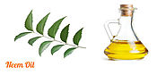 Noxious Nature of Neem Oil to Non-Frightening Little Creature Species