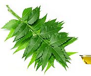 Neem oil can be used as phenomenal segment of beauty care products