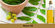 The natural neem oil has an extensive variety of its utilization