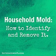 Dealing With Mold In Your Home