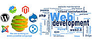 Professional Best Web Development Company in India | SwipeCubes Softs