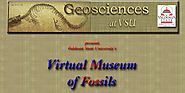 Fossil Home: Virtual museum