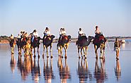 Ride a Camel on Cable Beach as The Sun is Making its Way Down