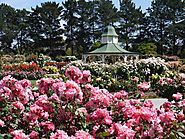 Pay a Visit to the Werribee Mansion and Rose Garden