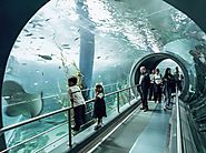 The Melbourne Aquarium