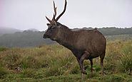 Horton Plains National Park