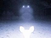 UFO lights spotted on Mississippi couple's property?