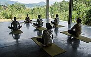 Mindfulness-Focused Experiences