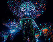 Gardens by the Bay 