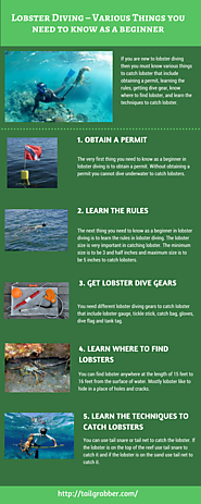 Lobster Diving – Various Things you need to know as a beginner