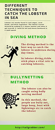 Different techniques to catch lobster in the sea