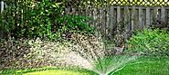 How to Keep Your Lawn Healthy While Conserving Water
