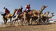 Sultan Camel Race Cup