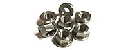 Flange Nuts manufacturers in India -Sachiya Steel International