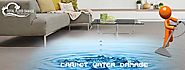 Few Tips & Tricks to Consider for Carpet Cleaning to remove Paint Stains | Total Flood Damage Melbourne