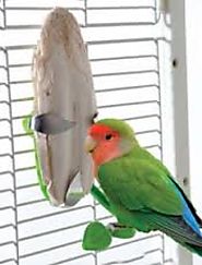 Handmade Bird Toys