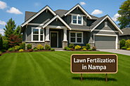 You're following every YouTube tutorial, but your lawn still looks terrible. Here's why. 😤