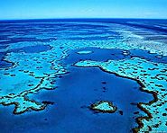 The Great Barrier Reef