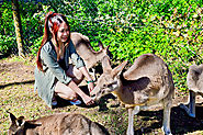 Currumbin Wildlife Sanctuary