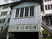 Ceylon Tea Museum