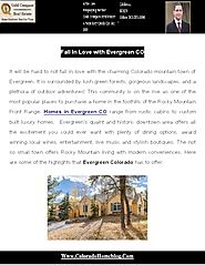 Homes in Evergreen CO