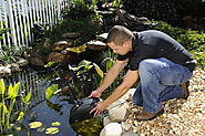 Filtration Systems and Products for Your Fish Ponds
