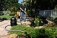 Autumn Tips for Maintaining Pond Pumps and Filters