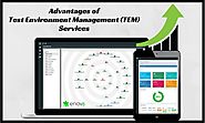 Advantages of Test Environment Management (TEM) Services
