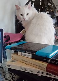 La lectura y mi gato