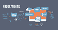 Web Design and Development Services | Static, Dynamic Website Design