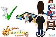 Best Web Designing Course In Chennai For Your Better Career - Senelda