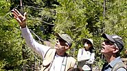 Hike Recap: Exploring Conifers with Doug Kendig
