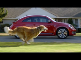 The Dog Strikes Back: 2012 Volkswagen Game Day Commercial