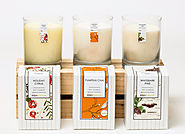 Seasonal Soy Candles - Bright Endeavors