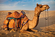 Book Rajasthan Tour Packages