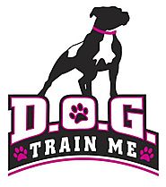 Professional dog trainer services by D.O.G Train Me, LLC