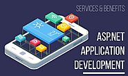Large Scale Asp.Net Application Development Services