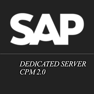 Professional and Reliable sap hosting partner USA | sap system access online USA